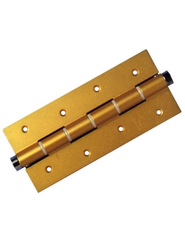 PAR BISAGRA MUELLE N 58 PLATA